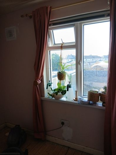pink curtains