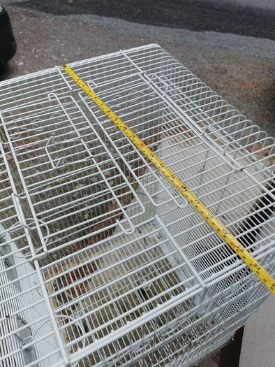 bird cage