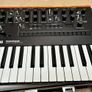Korg Monologue + Ripcord Power + Flight case Image 4
