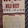American History.  X 2. 1. Gun Of The Wild West. A Photographic Tour Of The Guns That Shaped Our Country. 2. Witnesses  To The Civil War. By Smithsonians.hardback Image 2