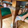 Furniture Image 4