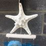 Windchime / Seashells Image 3