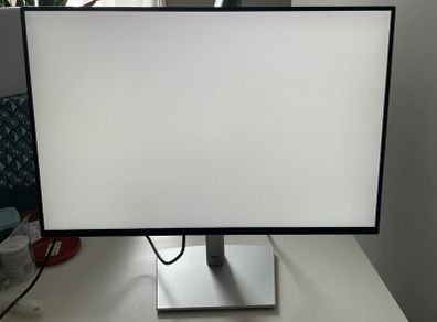 Dell 24" Monitor