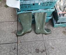 wheelington boots
