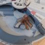 Star Wars Hasbro Millennium Falcon Image 9