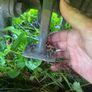 McConnell hyreach Hedge cutter Image 5