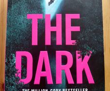 The Dark.  Sharon Bolton