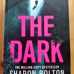The Dark.  Sharon Bolton