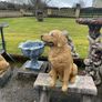 garden benches Image 7