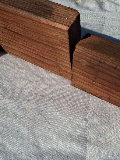 Art Nouveau Wooden Coat Rack