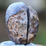 Meteorite 14.68 grams NWA 869 cut in 2 Image 2