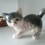 Three Cute Cats Image 4