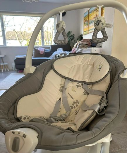 Baby Swing and Rocker