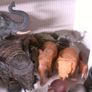 Elephant collection Image 6