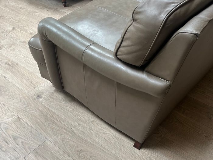 Two Leather Couches