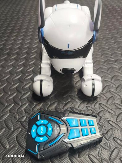 Ziggy Dog remote