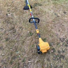 Petrol strimmer