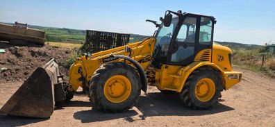 Jcb 300
