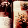 1980. The Constance Spry Book Of Flower Arranging. Image 4