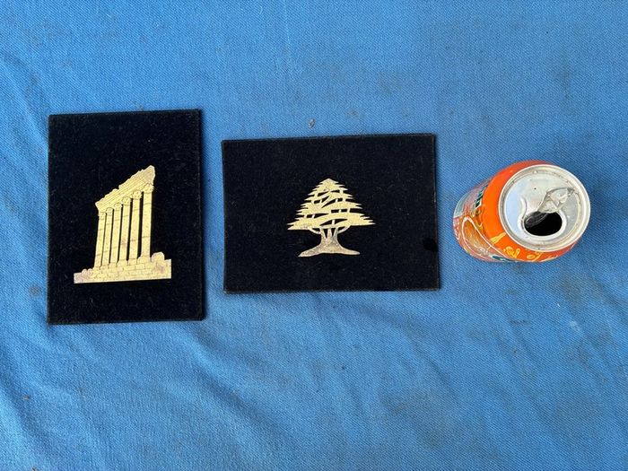 Pair of vintage velvet wall plaques