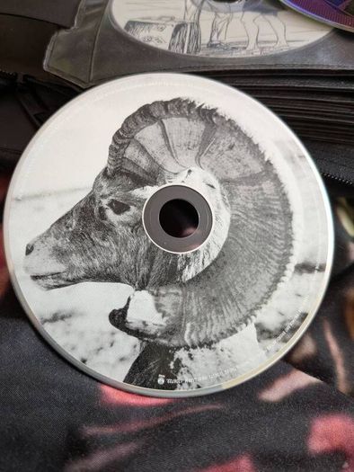 CDs eur 1 each no cases