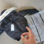 Canada goose Image 2