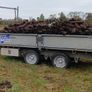 loads of Turf and ton bags of Turf Image 3
