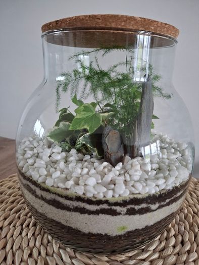 Forest in the jar