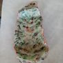 Forest Fern Image 7