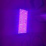 Plant Grow Lights Full spectrum Image 9