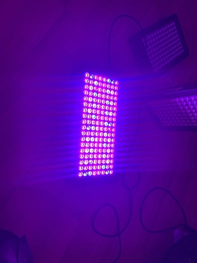 Plant Grow Lights Full spectrum