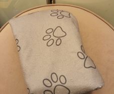 Brand new microfiber dog towel