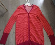 ZARA cardigan