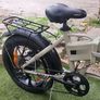 Electric Bike Image 2