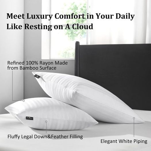 Downluxe Goose Down Pillows -  Queen Size (20"x28") x1