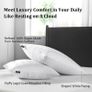 Downluxe Goose Down Pillows -  Queen Size (20"x28") x1 Image 3