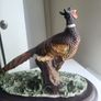 Capodimonte Pheasant Sculpture Fifurine Image 3