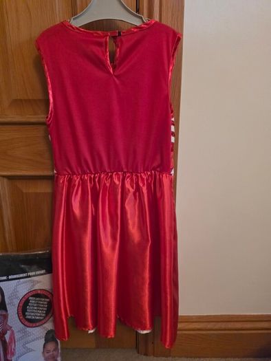 Cheer leader costume