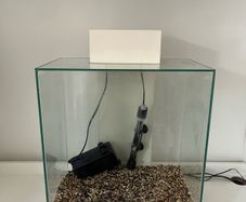 Fish Tank