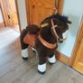 pony cycle Image 2