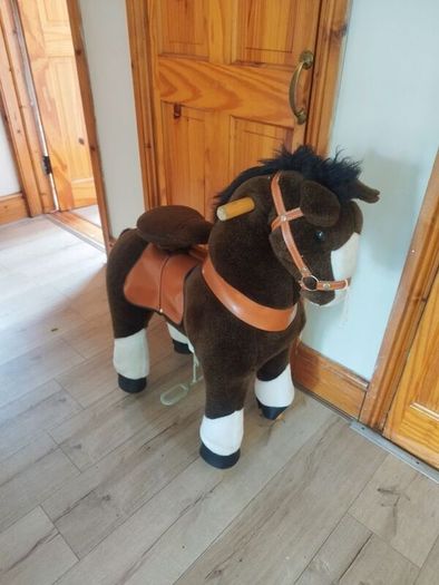 pony cycle
