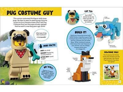 LEGO Meet the Minifigures