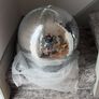 Disco ball 50cm and motor party decor, hen, weddin Image 3