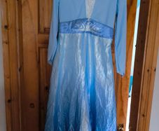 Elsa costume