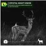 Wildlife camera Image 10