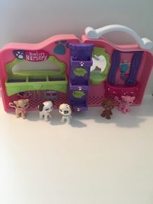 animal vet