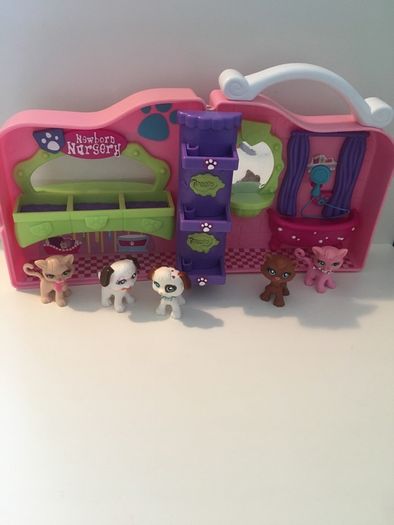animal vet
