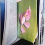 Life on Earth: A Natural History by David Attenborough (HQ648) Image 3