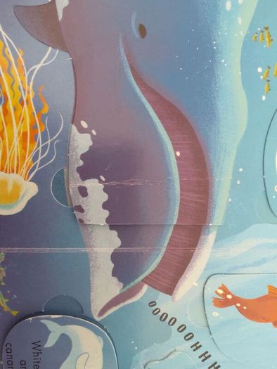 Usborne Look Inside Sea and Oceans