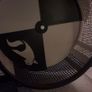 sugar gliders Image 4